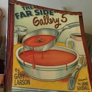 💥SOLD💥Far Side Gallery 5